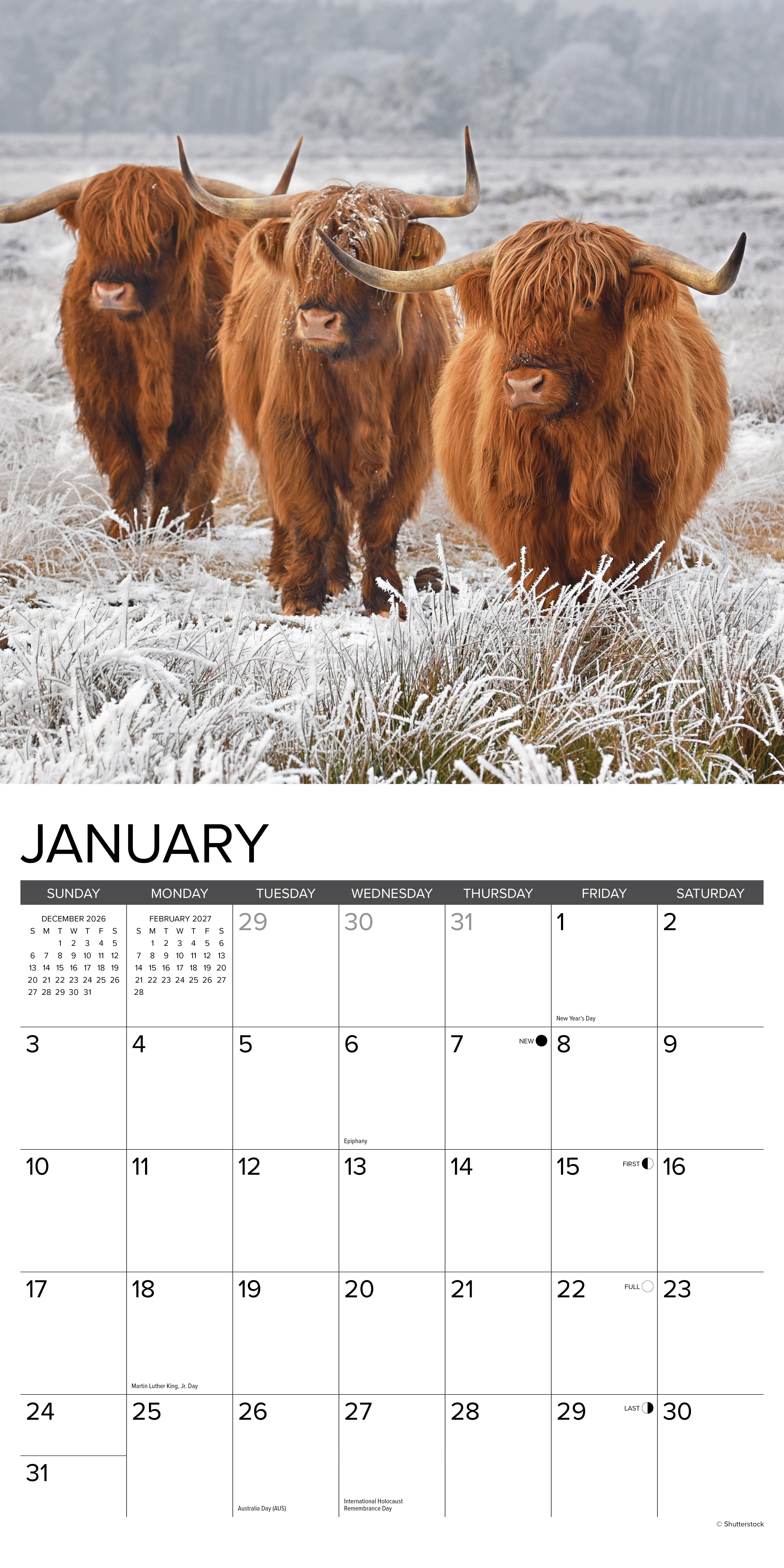 Willow Creek Press, Highland Cows 2027 Wall Calendar