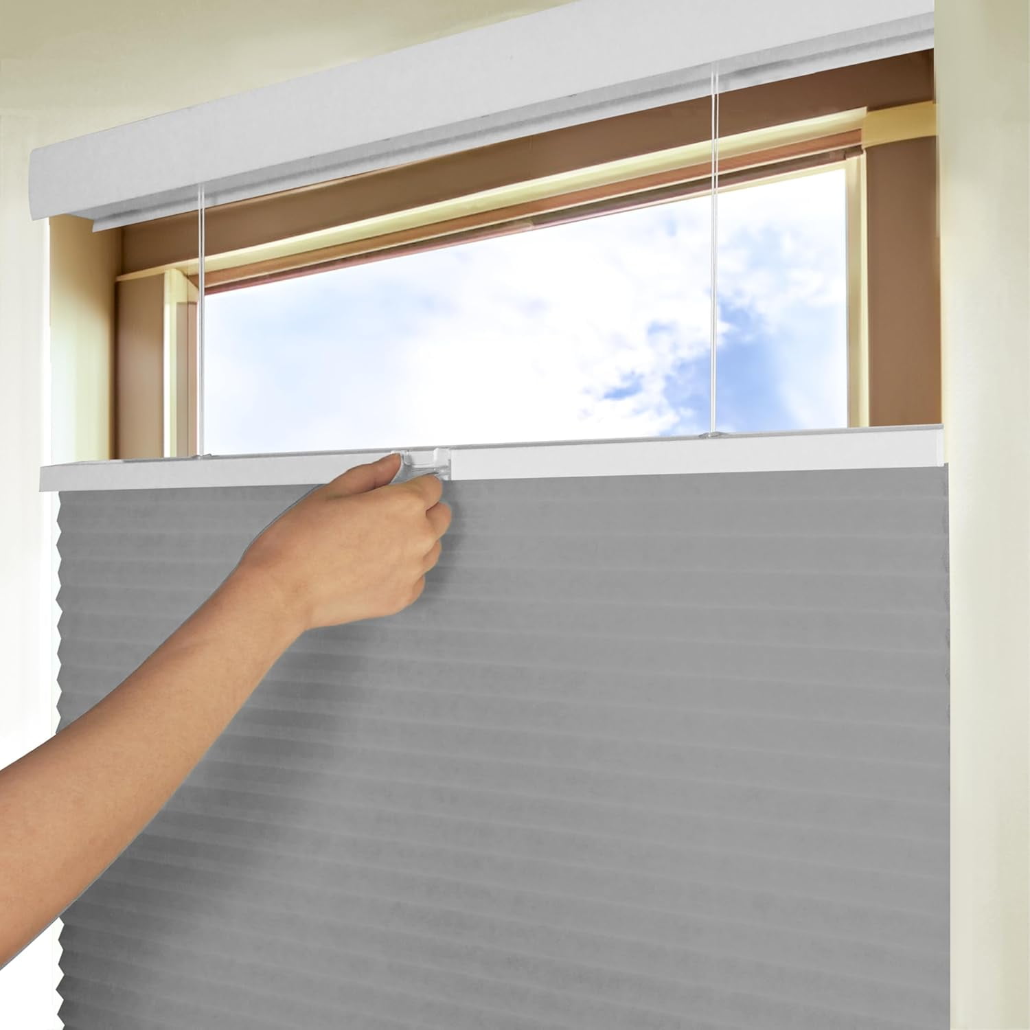 Chicology Silver Light Filtering Cordless Top Down Bottom Up Cellular Shades 27.75 in. W x 72 in. L