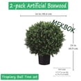 thumbnail image 2 of Set of 2 - Pre-Potted 24" High Ball Shaped Boxwood Topiary-MEKBOK- 16" Diameter - Plastic Pot, 2 of 6