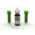 thumbnail image 4 of Mystic Romance Premium Fragrances Oils LEMONGRASS - Air Freshener Spray 4.4OZ-130ML, 4 of 5