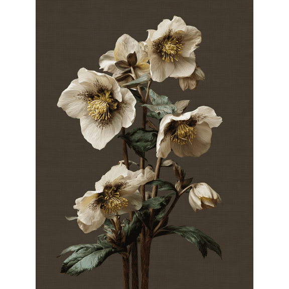 Hellebore Flower Canvas Print, Suitable for Living Room Bedroom Dining Room Office Hallway Hotel Entryway