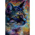 thumbnail image 1 of Pintura de diamante (DE4962) Ronda completa 5D DIY Animal Rhinestone (Splicing Cat B2462) 40x50cm Hugtrwg Para estrenar, 1 of 1