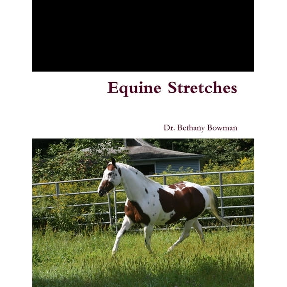 Equine Stretches, (Paperback)