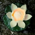 thumbnail image 1 of Floating Candles Floating Water Lotus Lily Pad LED Light Color Changing Battery Op Ivory, 1 of 2