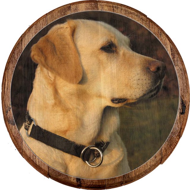 Bar Sign Golden Lab Labrador Retreiver Family Loyal Hunting Dog Bar