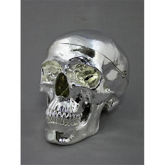 Chromed Skull