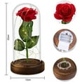 thumbnail image 2 of La bella y la bestia, rosa, regalo para mamá, señoras, rosa, flor, lámpara de cristal, aniversario de boda, decoraciones para el hogar y la Oficina Ormromra ZJWJ624-1, 2 of 3
