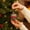 #27D, variant on Glitter Stripe Baubles, Christmas Ball Ornaments, Tree Decor Value Set, Classic Color Schemes and Ready-to-Hang Design for Tree Branches, Mantel Pieces and Wreath Accents