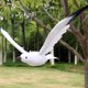 thumbnail image 5 of 2 piezas de gaviota artificial de simulación, adorno de gaviota, decoración de modelado de gaviota, 5 of 7