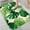 Monstera Leaf, variant on 1pc Seashells Absorbent Non-Slip Bathroom Thickened Flannel Rug Decor,Soft,Quick Drying,Suitable For Indoor/outdoor Use,Bathrooms,Bedrooms,Kitchens,Terrace,Laundry Rooms,16"x24"