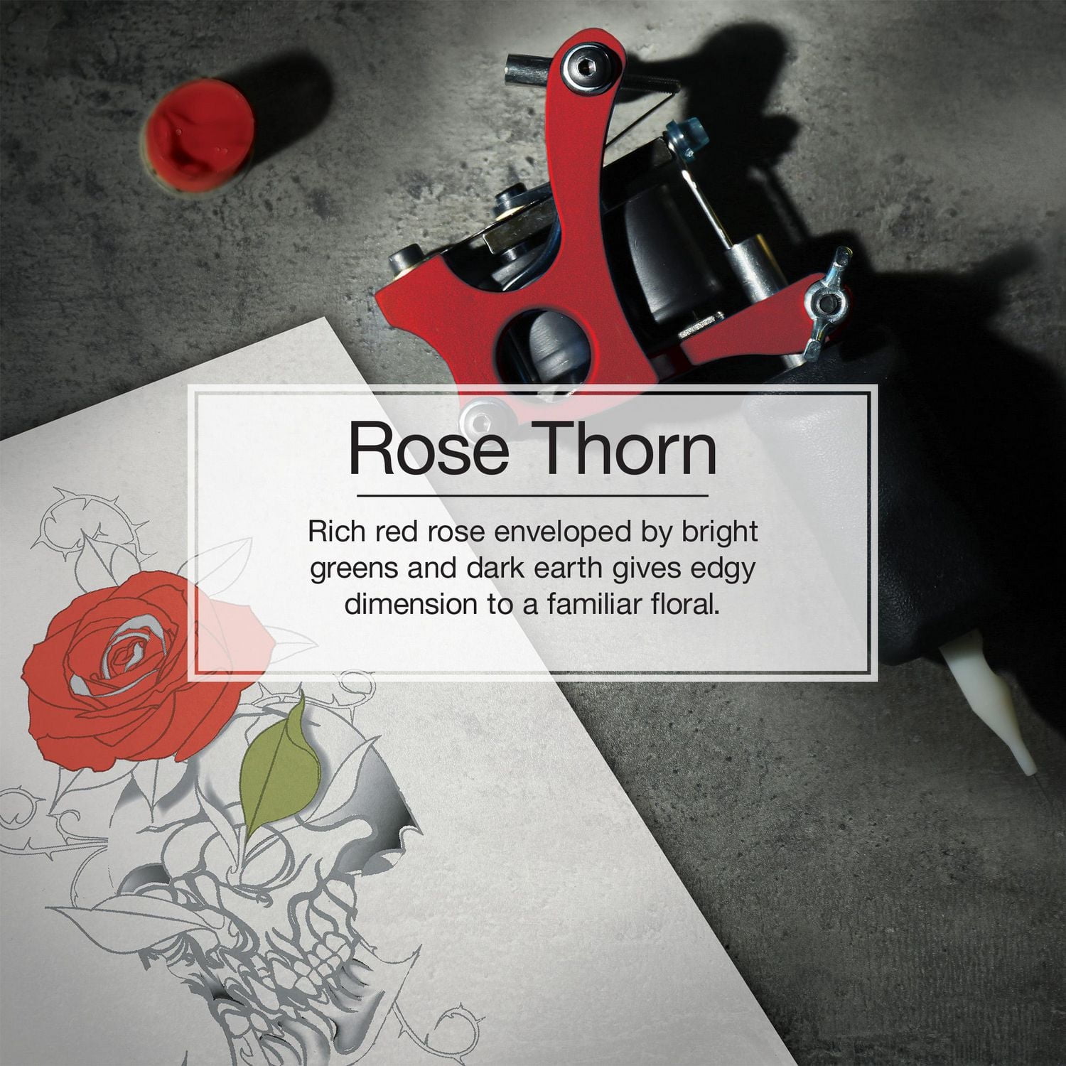 LITTLE TREES air freshener Rose Thorn 6-Pack, LT Rose Thorn 6-Pack