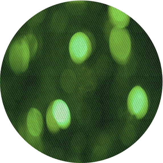 Ahgly Company Indoor Round Patterned Dark Forest Green Area Rugs, 4' Round