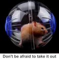 thumbnail image 3 of Methold Pelota de ejercicio, juguetes de animales, juguetes rodantes, accesorios para correr perforados de plástico Juguetes de animales pequeños azul Methold PT000076-02B, 3 of 6