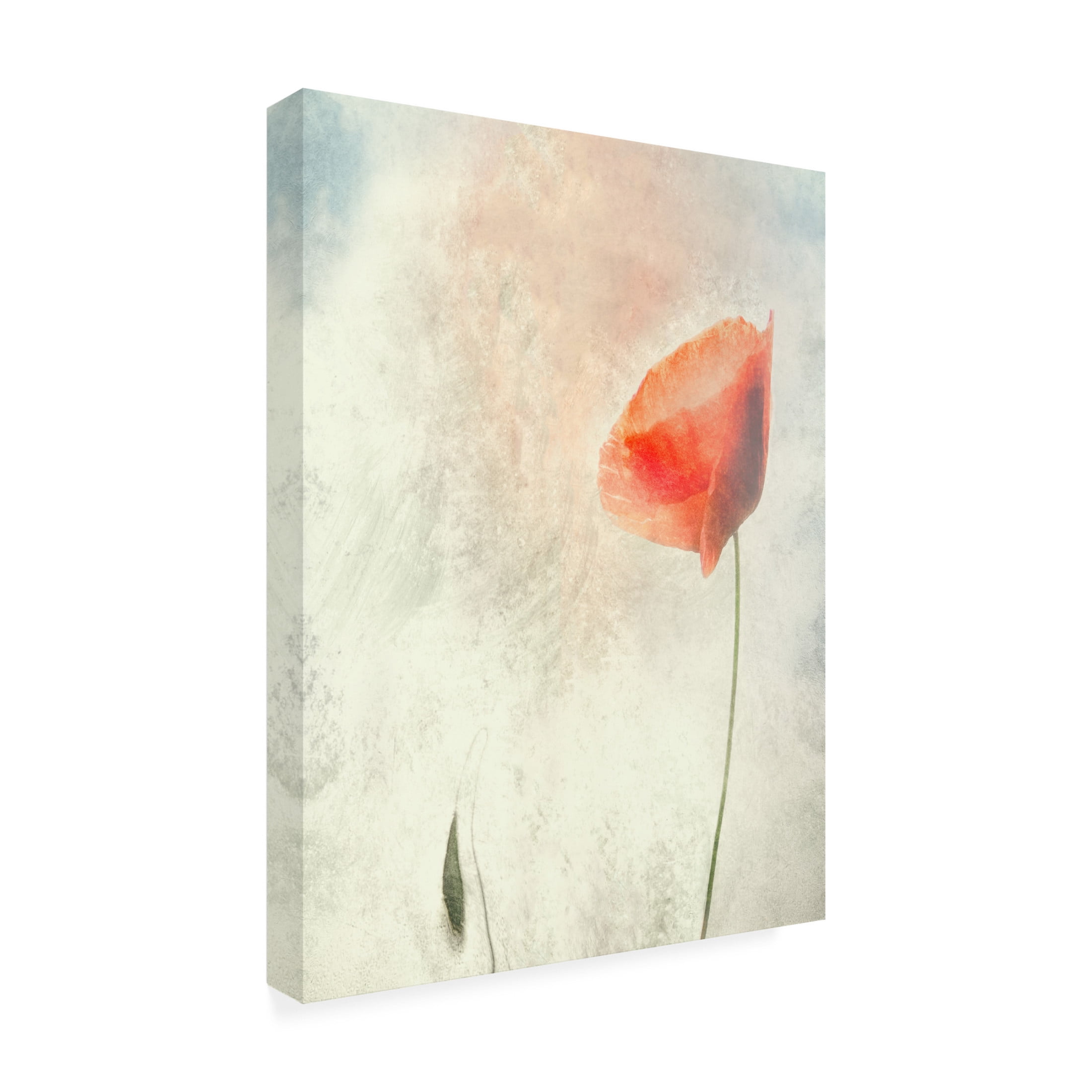 Canvas Wall Art - Gilbert Claes 'We Should Not Sleep' Wall Art for Living Room, Bedroom, or Office D?cor by Trademark Fine Art - 18 x 24 Inches