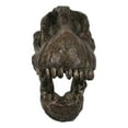 thumbnail image 4 of Faux Taxidermy Replica Brachiosaurus Dinosaur Head Fossil Small Skull Figurine, 4 of 9