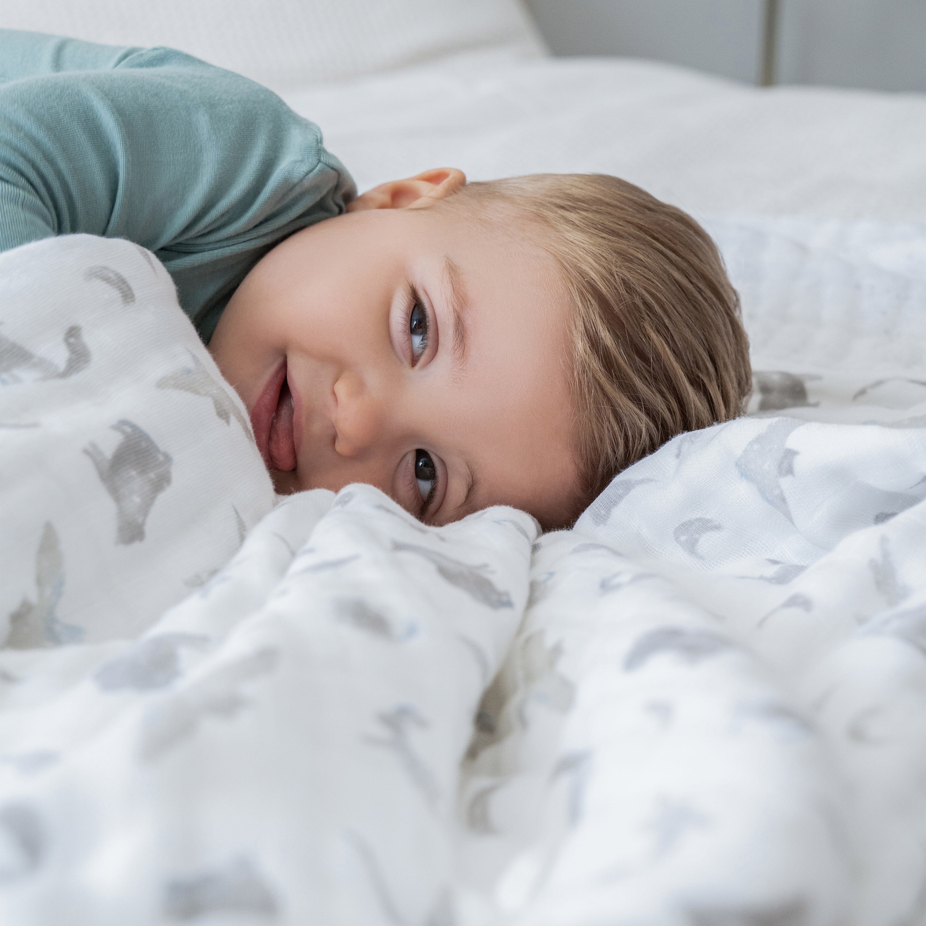 aden + anais Organic Cotton Muslin Dream Blanket, Grey Map the Stars, Unisex