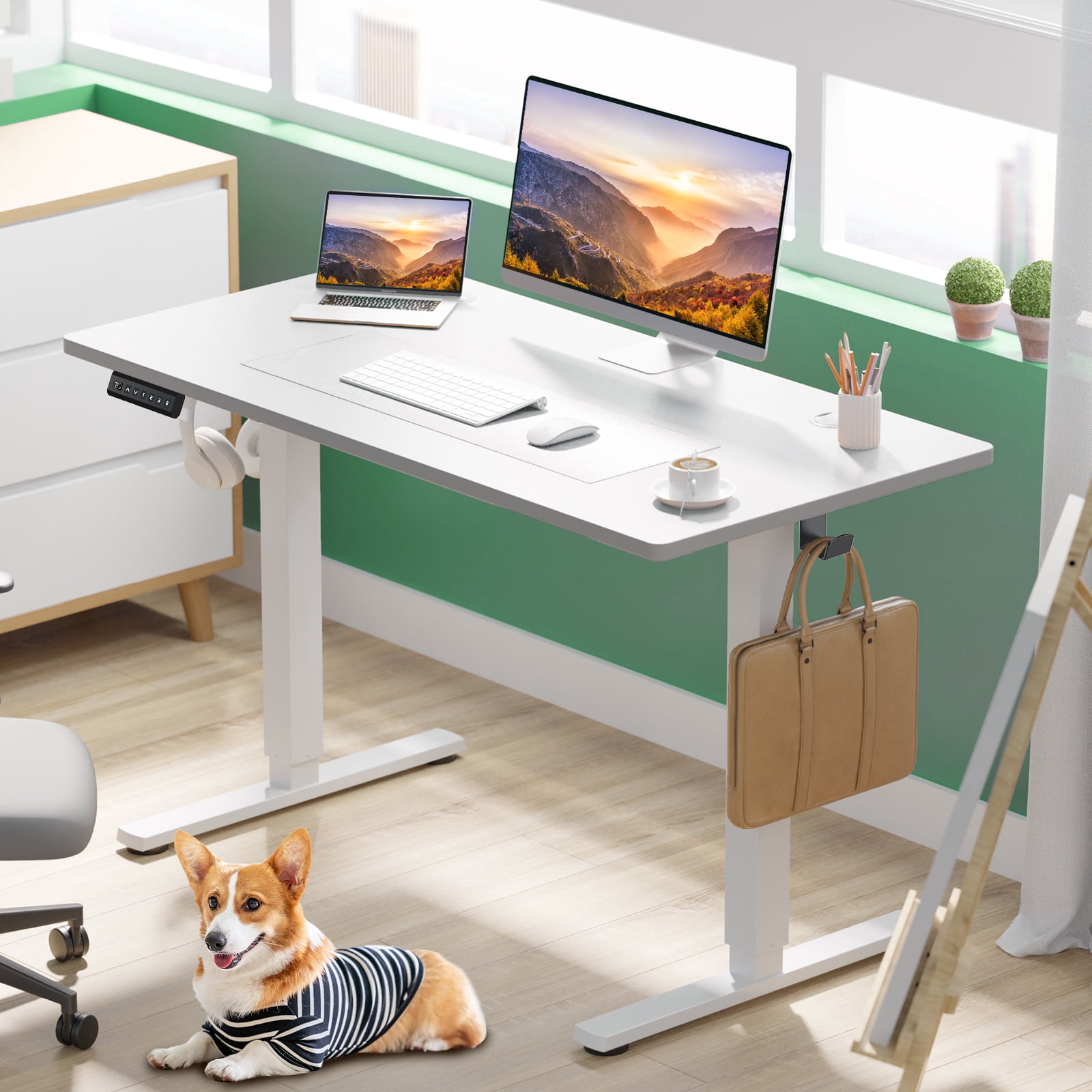 edx Electric Standing Desk, Height Adjustable Desk, 40 x 24 Inches Ergonomic Stand up Desk