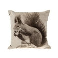 thumbnail image 1 of Woven Rustic Cushion (Squirrel Nibbling Nut) - Set of 2, 1 of 2
