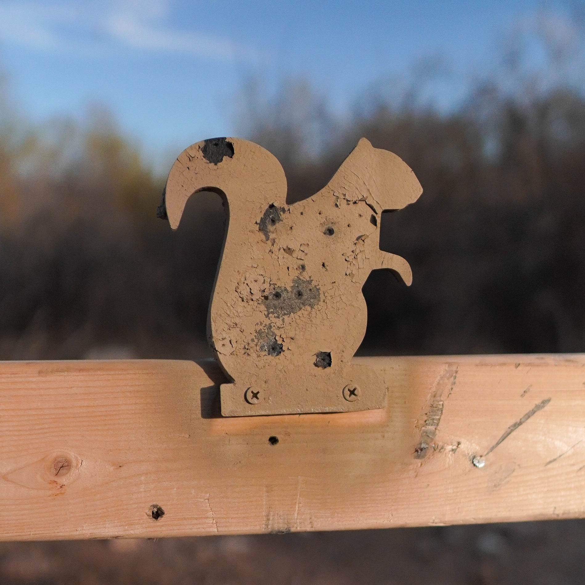 Squirrel Plinker Target