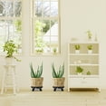 thumbnail image 4 of Shisuyan Flowerpot Base Prevent Water Flow 1Pack, 4 of 9
