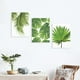 thumbnail image 3 of Póster de arte de pared con hojas de palmera y plantas verdes tropicales, pintura sobre lienzo. Palmetto Leaf M, 3 of 9