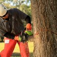 thumbnail image 5 of Greenworks Pro 80V 18 Inch Chain/Bar DigiPro Cordless Chainsaw (Chainsaw Only), 5 of 5