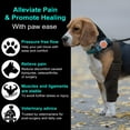 thumbnail image 4 of sunsanly Dog Hip Knee Leg Brace Adjustable Dog ACL Brace for Back Hind Rear Legs Torn Tear Hip Dysplasia Arthritis Pet Knee Protector, 4 of 7