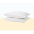 thumbnail image 1 of Almohadas Nooz Essential 2 pack Tamaño King 86x46 cm Mix de espumas y fibras, 1 of 8