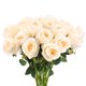 thumbnail image 1 of Uxcell 20-Pack Flores Artificiales de Rosa con Tallo para Decoración del Hogar/Boda/Navidad/DIY/Fiestas [Champán], 1 of 1