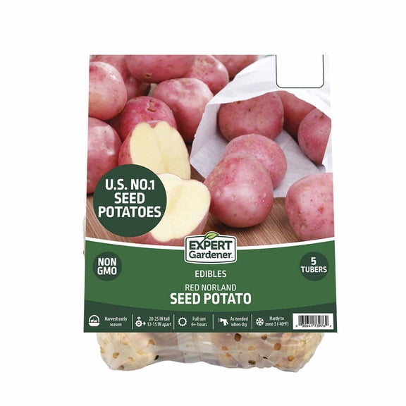 Expert Gardener Red Norland Seed Potatoes (Set of 5 Dormant Tubers) - Full Sun Annual