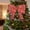 Red, variant on 28"x26" Pre-lit Bows for Christmas Tree Topper, Lighted Bowknot Christmas Decoration with 124 LED Lights for Fall Halloween Thanksgiving Christmas Decorations Outdoor Indoor, Red