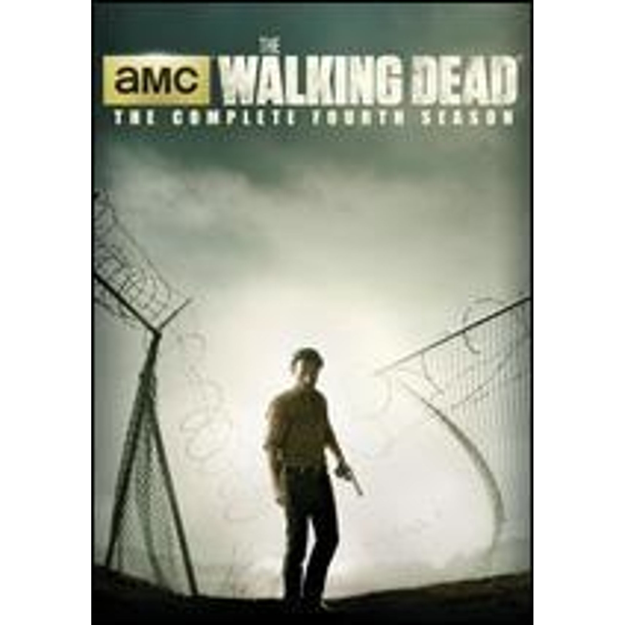 Starz/Anchor Bay: The Walking Dead Series - Season 9 DVD - Walmart.com