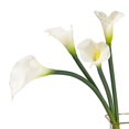 thumbnail image 4 of DUYONE - Ramo de Flores Artificiales de 25.6 Pulgadas de l&aacute;tex Grande y Suave al Tacto Real, Plantas de Tallo Largo, 5 Piezas para el hogar, Sala de Estar, rec&aacute;mara, DUYONE NA, 4 of 8