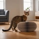 thumbnail image 3 of Rascador Interactivo Para Gatos, Rascador de Acordeón para Gatos, Tablero Rascador para Gatos, Juguete Rascador Interactivo Para Gatos de Interior, 3 of 7