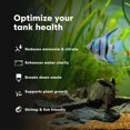 thumbnail image 4 of Acondicionador para acuario Brightwell Aquatics FlorinBacter7 2 L, 4 of 7