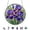 D, variant on SHJHENG Stained Glass Style Acrylic Puzzle Suncatcher, 8-Inch Round Floral & Cactus Window Hanging Puzzle, Unique Home Decor Art with Nature Designs