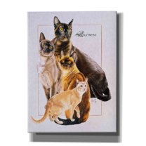 Epic Graffiti 'Burmese' by Barbara Keith, Canvas Wall Art, 40"x54"