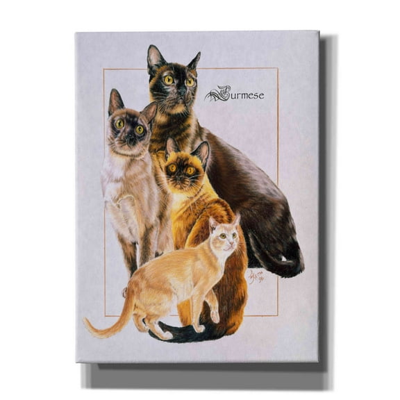 Epic Graffiti 'Burmese' by Barbara Keith, Canvas Wall Art, 40"x54"