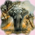 thumbnail image 2 of CafePress - Elephant Sunrise Infant Bodysuit - Baby Light Bodysuit, Size Newborn - 24 Months, 2 of 4