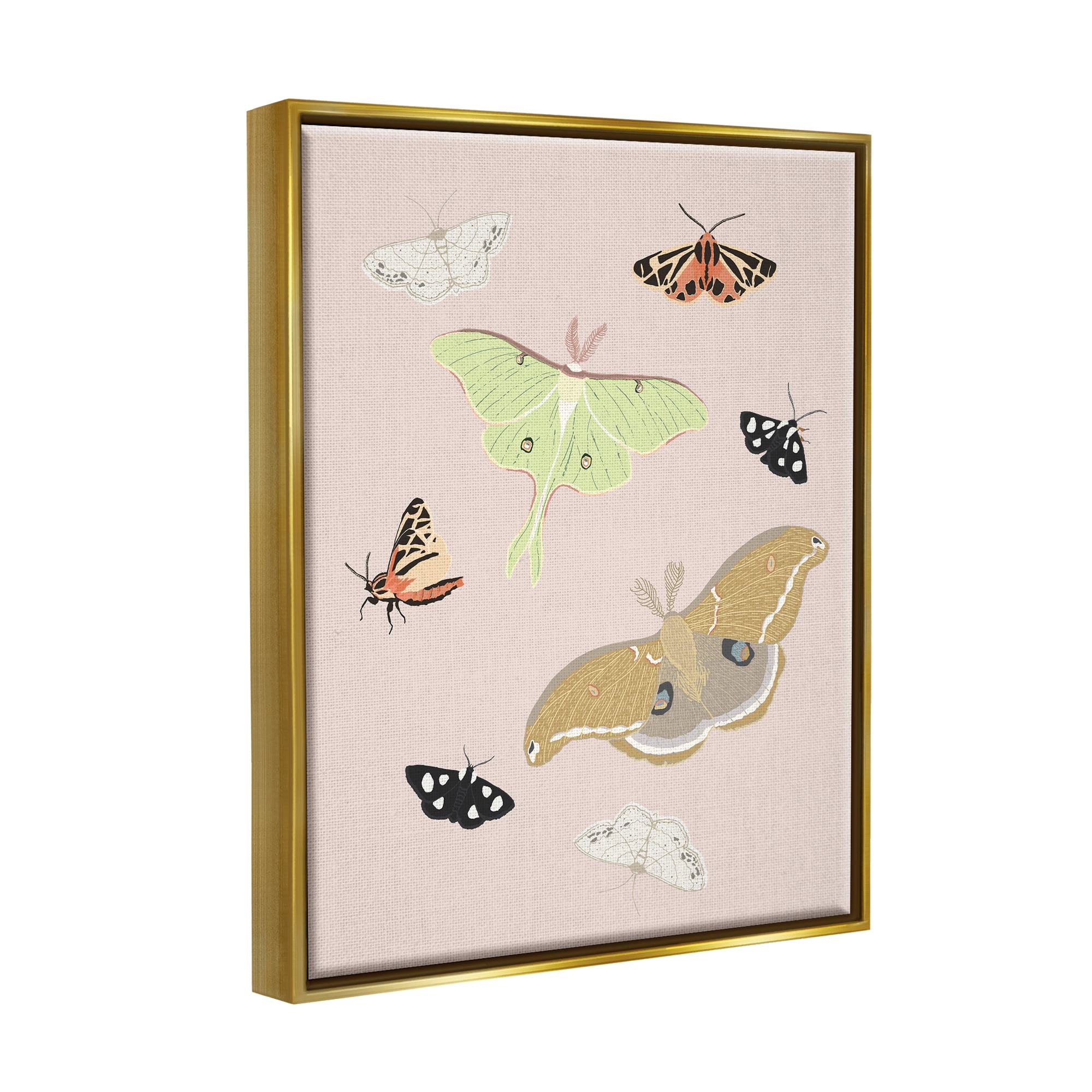 Stupell Industries Moths & Butterflies on Pink Animals & Insects Painting Gold Floater Framed Art Print Wall Art, 17 x 21