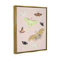 thumbnail image 4 of Stupell Industries Moths & Butterflies on Pink Animals & Insects Painting Gold Floater Framed Art Print Wall Art, 17 x 21, 4 of 10