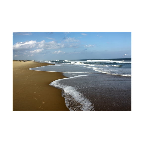 Canvas Wall Art - DANE 'Beaches 9' Wall Art for Living Room, Bedroom, or Office Décor by Trademark Fine Art - 19 x 12 Inches