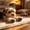 black4, variant on Winter Poetry Upgrade 4pc Dog Paw Grips, Anti-slip Paw Pads, Traction Stickers for Senior Dogs on Hard Floor, 3XL