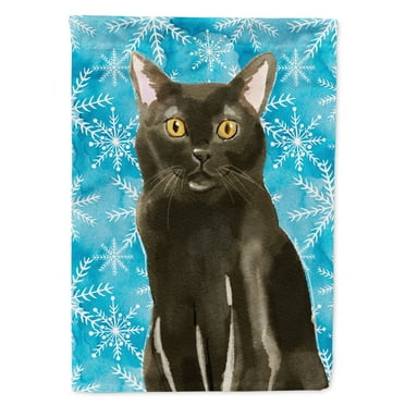 Carolines Treasures CK3107CHF Bombay Winter Snowflake Flag Canvas House Size  Large multicolor