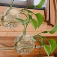 thumbnail image 2 of Household Wall-mounted Glass Vase Unique Shape Hydroponic Vase Hanging Vase, 2 of 7