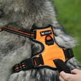 thumbnail image 3 of Flmtop Harnais Ajustable Respirant Réfléchissant pour Chien Chiot Vert, 3 of 9