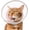 Light PINK, variant on Cat Cone Collar Soft: Comfortable Waterproof Mesh Recovery Cone After Surgery to Stop Licking and Scratch, Alternative to Plastic Elizabeth Head/Neck Cone Blue,S