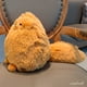 thumbnail image 5 of Peluche Winsterch con forma de gato naranja de peluche para niños, 5 of 6