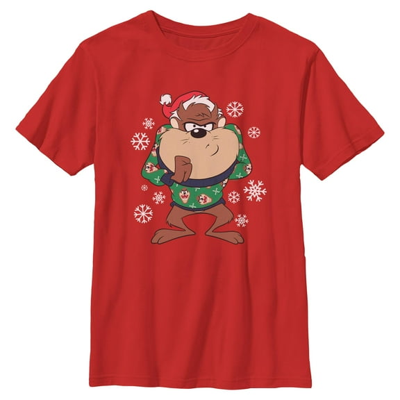 Boys Looney Tunes Snowflakes and Taz T Shirt