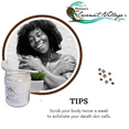 thumbnail image 3 of Coconut Sugar Scrub, 3 of 4